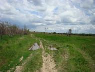 Зеленодільське з panoramio.com