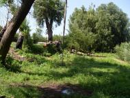 Заворичі з panoramio.com