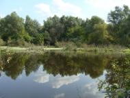 Рожівка з panoramio.com