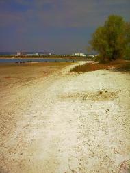 Дачное - Последние фото