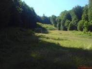 Кобилецька Поляна з panoramio.com