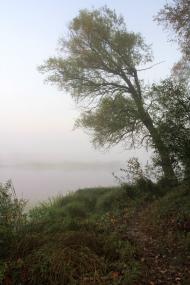 Карпилівка з panoramio.com