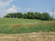 Лозова з panoramio.com