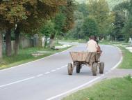 Зарваниця з panoramio.com