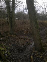 Дуліби з panoramio.com