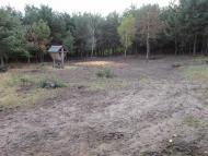 Маньківка з panoramio.com