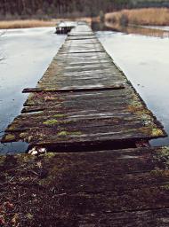 Верещиця з panoramio.com