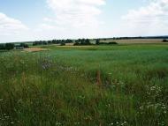 Дорогинка з panoramio.com