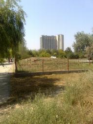 Сергіївка з panoramio.com