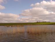 Приморське з panoramio.com