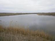 Новий Гребеник з panoramio.com