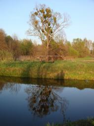 Лучківка з panoramio.com