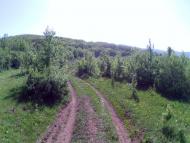 Голованівка з panoramio.com