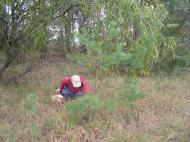 Лебедівка з panoramio.com