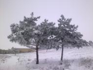 Долинка з panoramio.com