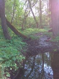 Дуліби з panoramio.com