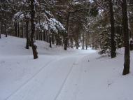 Шишаки з panoramio.com