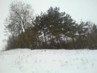 Курівці з panoramio.com