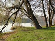 Неморож з panoramio.com