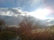 Сватове - Останні фото