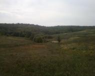 Синява з panoramio.com