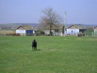 Ширяєве з panoramio.com