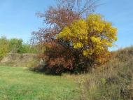 Глинськ - Останні фото