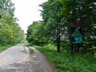 Пищальники з panoramio.com