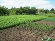 Ясининичі з panoramio.com