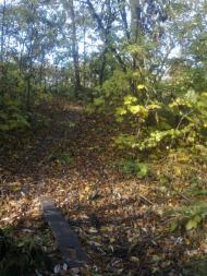 Дуліби з panoramio.com