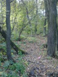 Дуліби з panoramio.com