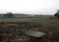 Морозова - Останні фото