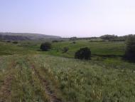 Леніна з panoramio.com