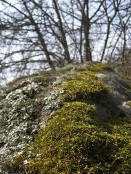 Глибочка з panoramio.com