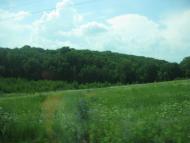 Григорівка з panoramio.com