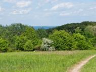 Григорівка з panoramio.com