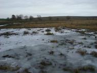 Мирлоги з panoramio.com
