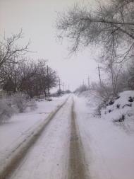 Долинка - Останні фото