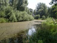 Заворичі з panoramio.com