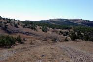Многоріччя з panoramio.com
