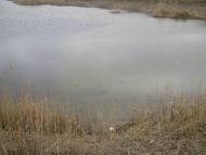 Новий Гребеник з panoramio.com