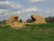 Сухини з panoramio.com