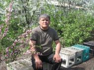 Боровиця - Останні фото