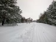 Дубовичі з panoramio.com