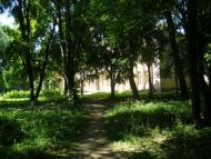 Монастирище з panoramio.com