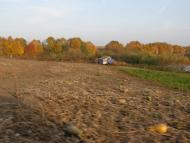 Шельпахівка з panoramio.com