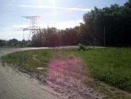 Лище з panoramio.com