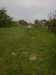 Остроушки з panoramio.com