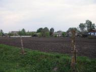 Telizhyntsi - Latest photos