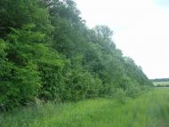 Ставчани з panoramio.com